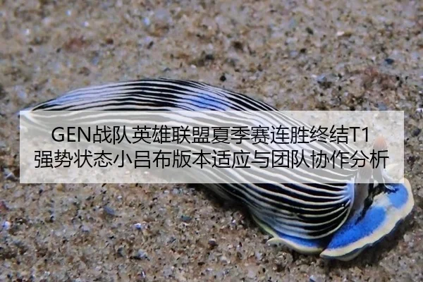 GEN战队英雄联盟夏季赛连胜终结T1强势状态小吕布版本适应与团队协作分析